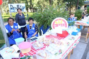 Feria artesanal y productos de la huerta