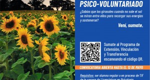 voluntariado