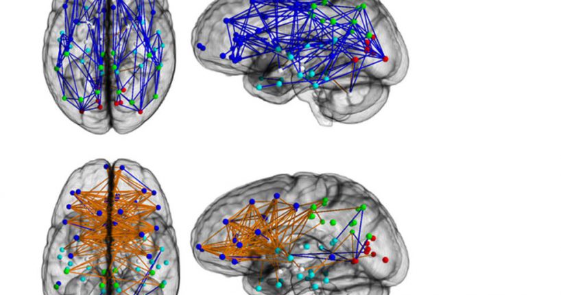 1386068482_598843_1386068995_noticia_grande