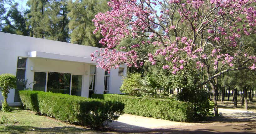 ingreso_al_rectorado_ucse