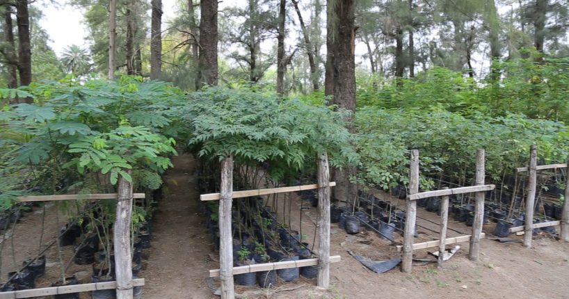 WhatsApp Image 2024-03-13 at 8.01.24 PM